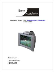 Treinamento na prática Yv Sony Chassis BA-6.pdf