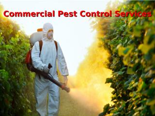 commercial pest control services.ppt