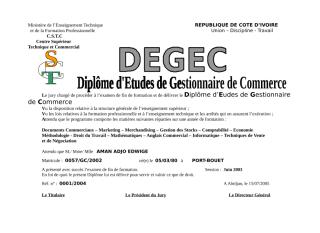DEGEC_FUSION.doc