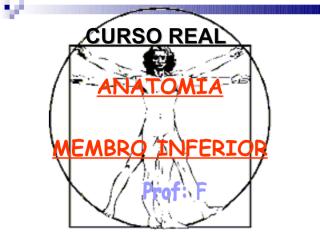 Anatomia Membro Inferior.pdf